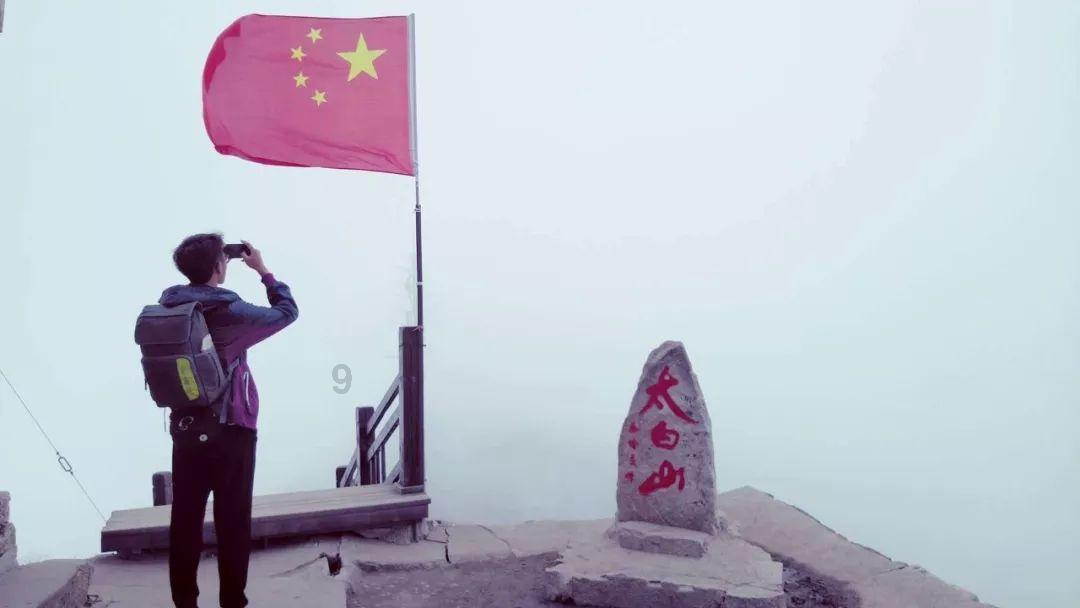 救援紫色生物